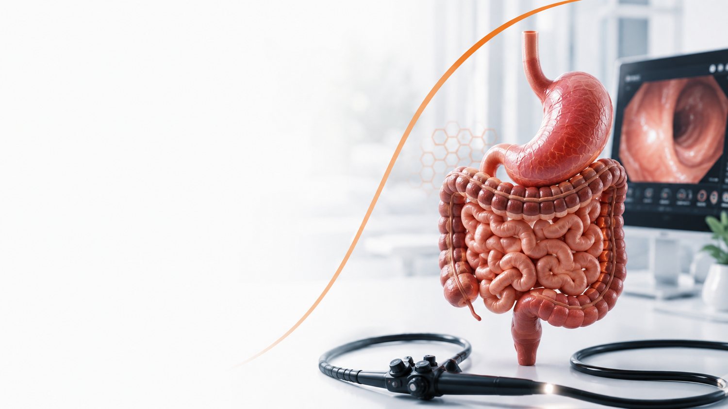 Gastroenterologie / Hepatologie